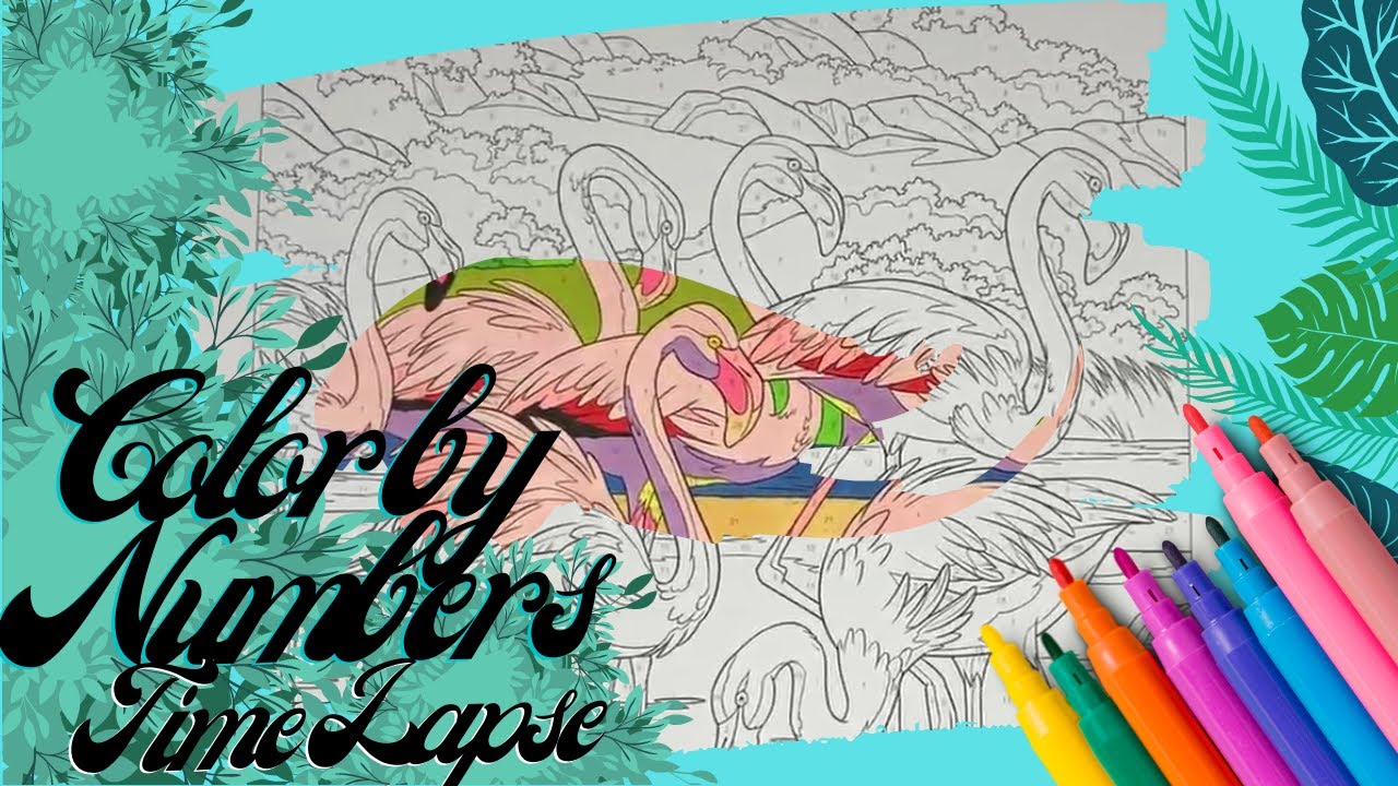 Creative Color by Numbers Time Lapse | #2
