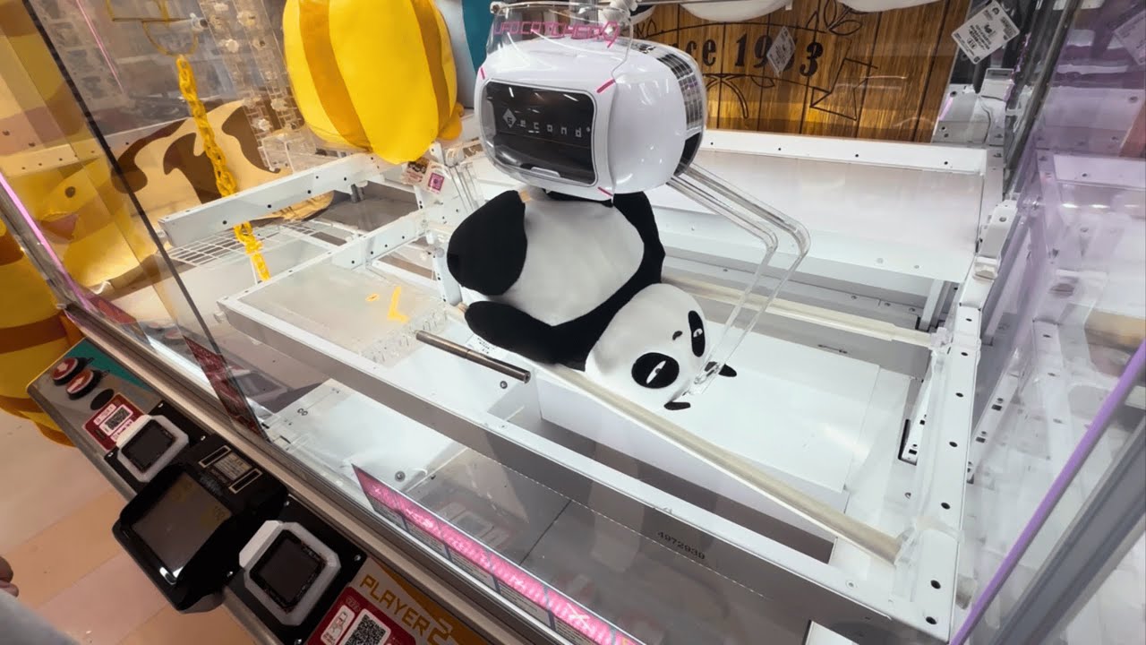 Anime Fans Will Recognize This Panda 😱