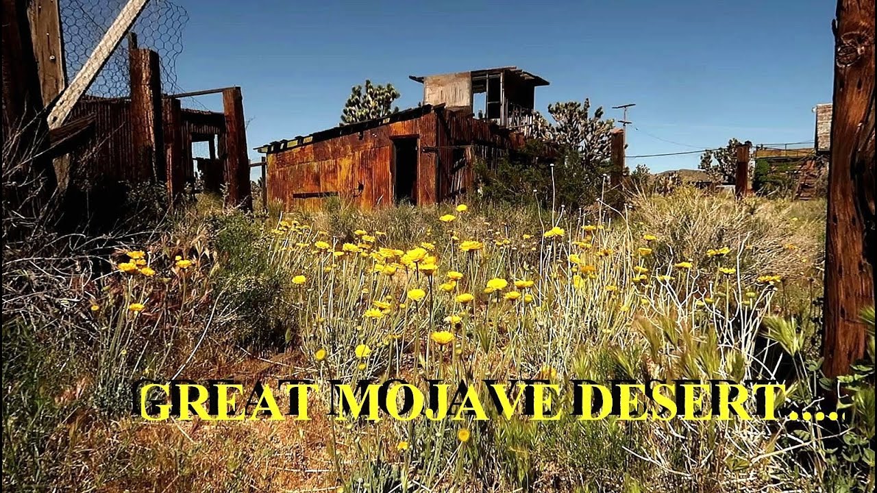 TACOMA TRAILS: Mojave Desert ((The Dawson farm and mining operation))