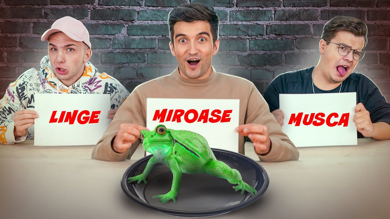 MUSCA, LINGE SAU MIROASE CHALLENGE !!