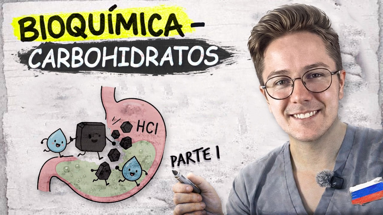 Metabolismo de los CARBOHIDRATOS (lo que NO te explicaron bien) | Introducción | BIOQUÍMICA