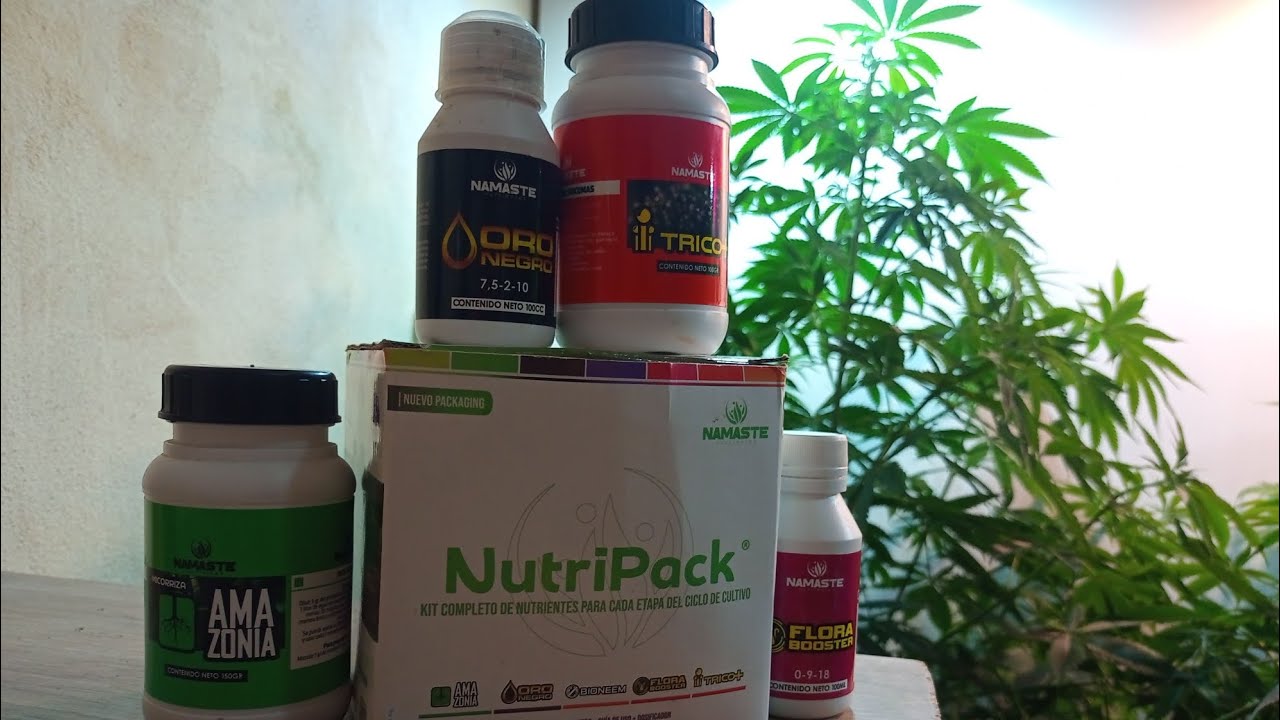 preparando fertis namaste!