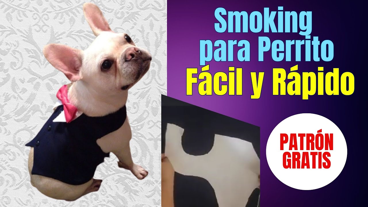 🤵 Cose un SMOKING para Perro FÁCIL y RÁPIDO | Patrón Gratis