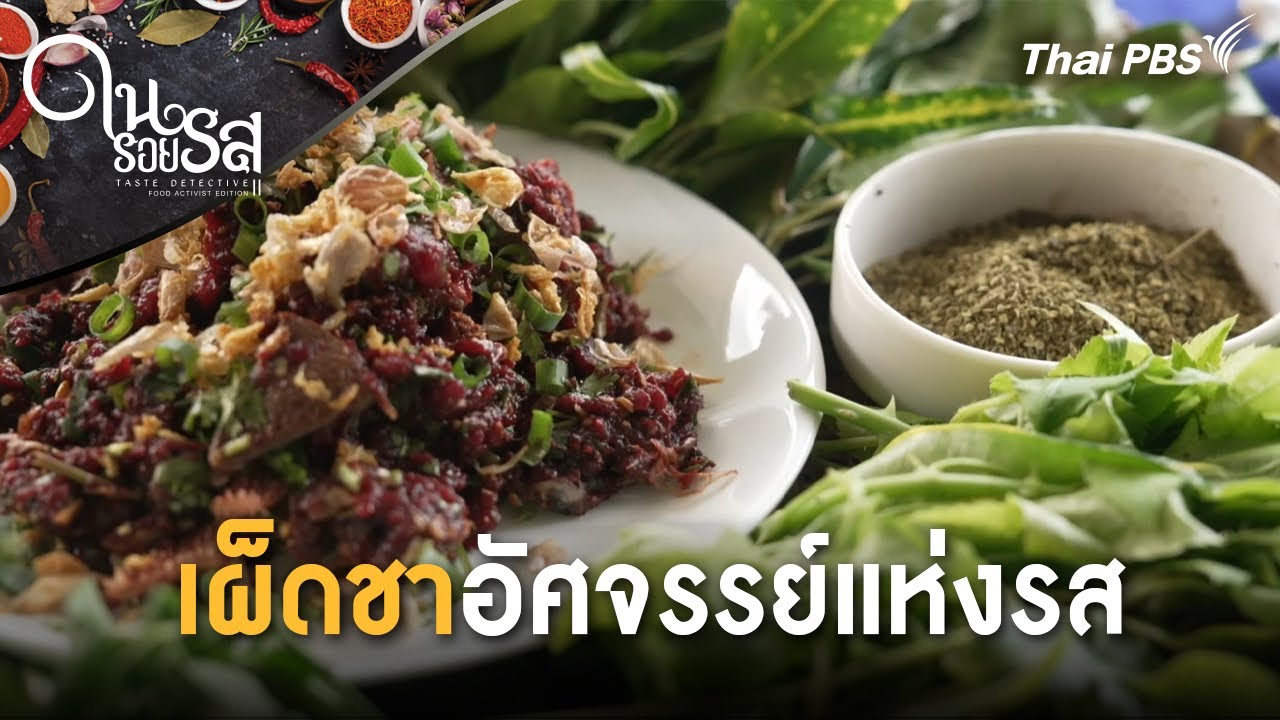 เผ็ดชาอัศจรรย์แห่งรส | ในรอยรส Taste Detective