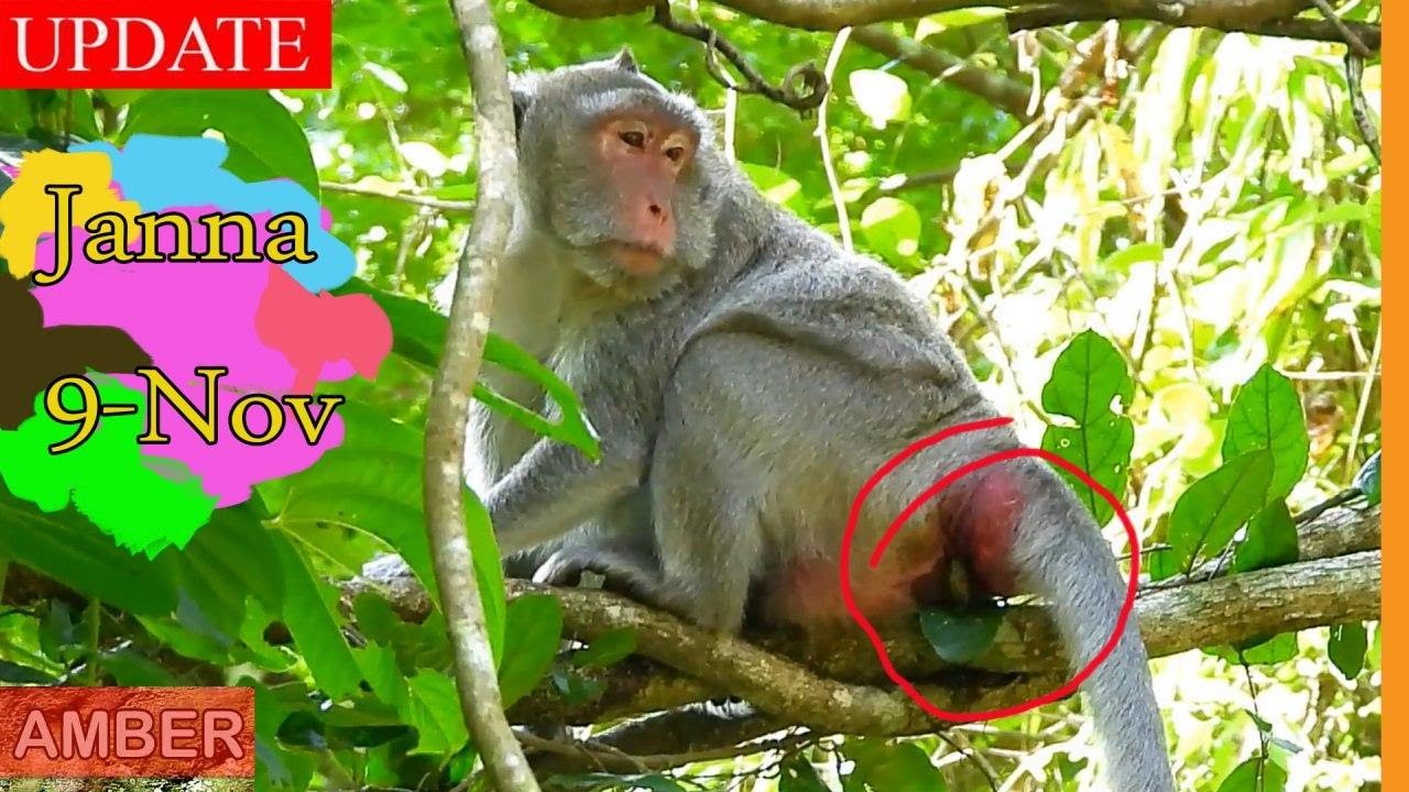 Jane Gave Birth On 9-Nov-2019 to Janna, The Same Month She Might Birth to Her New Baby