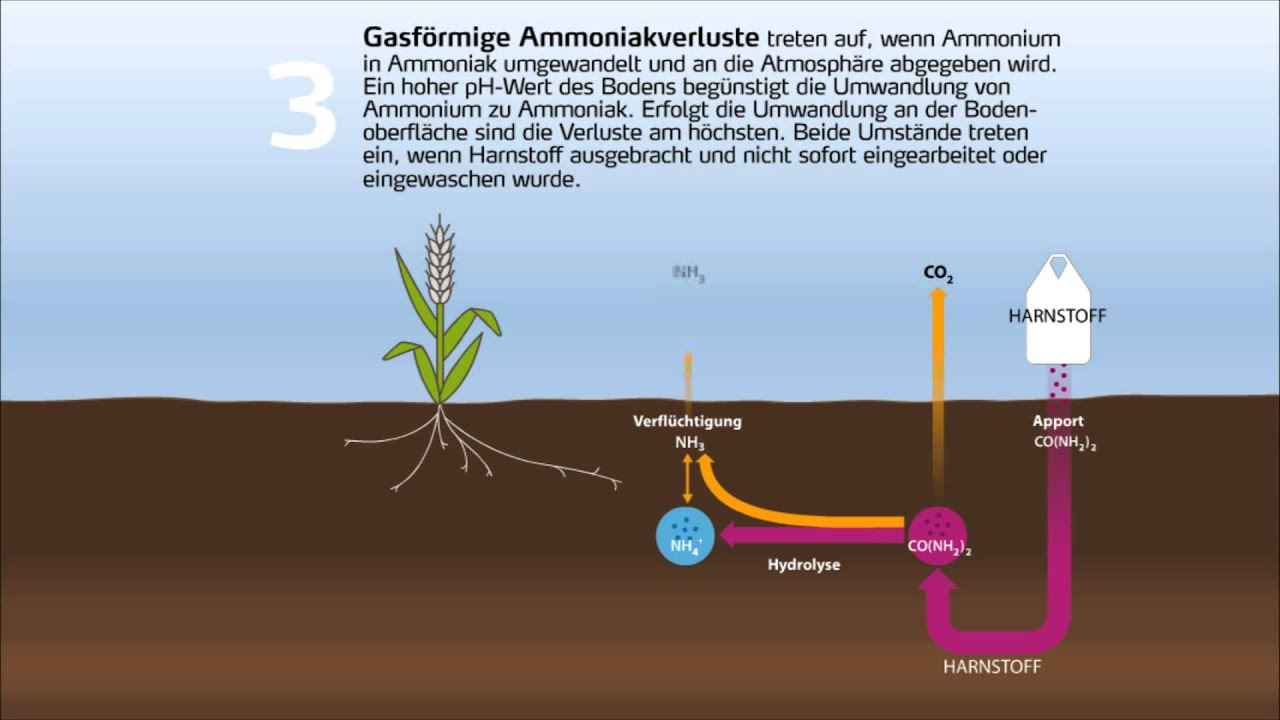 Stickstoff-Kreislauf und Umsetzung von Dünger-Stickstoff im Boden