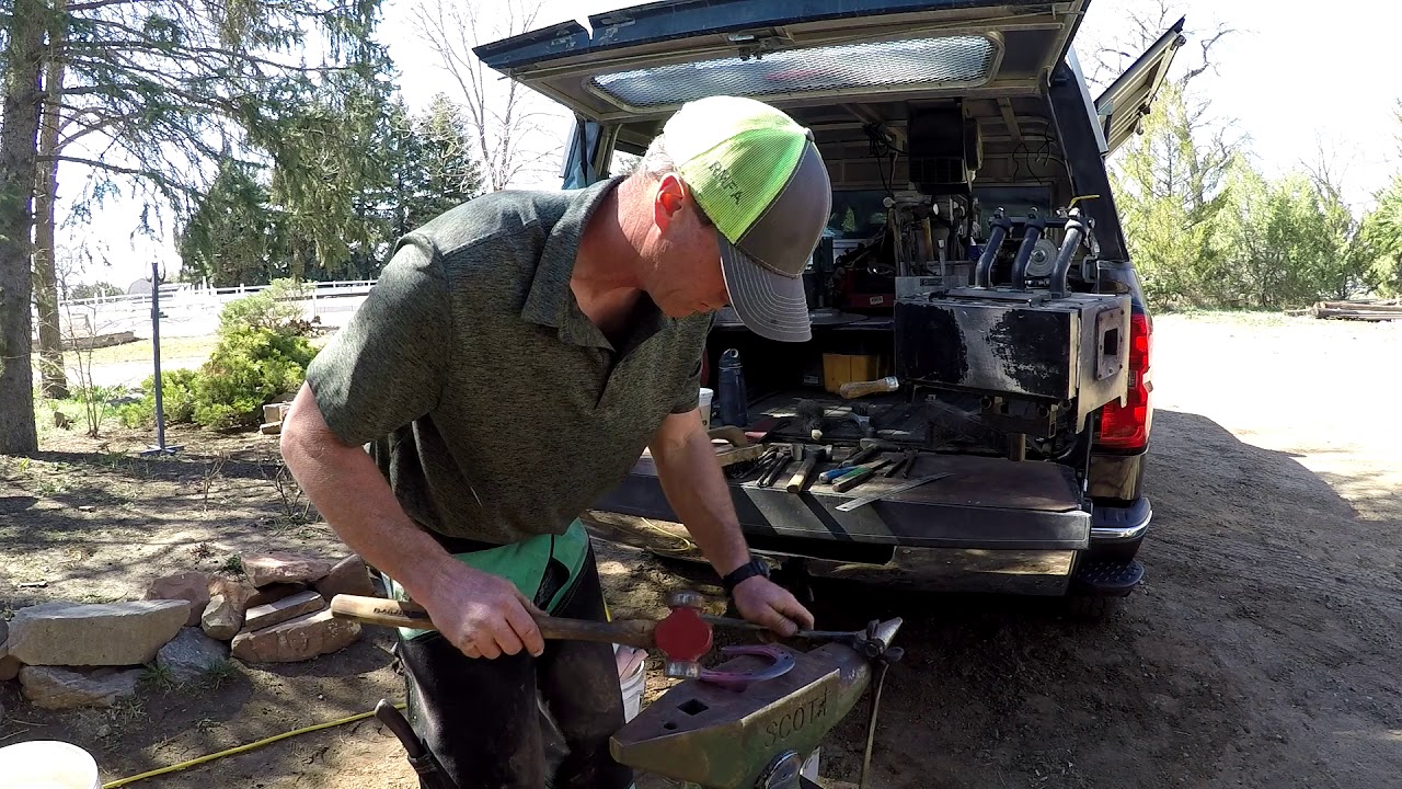 Shoeing the English Sport Horse
