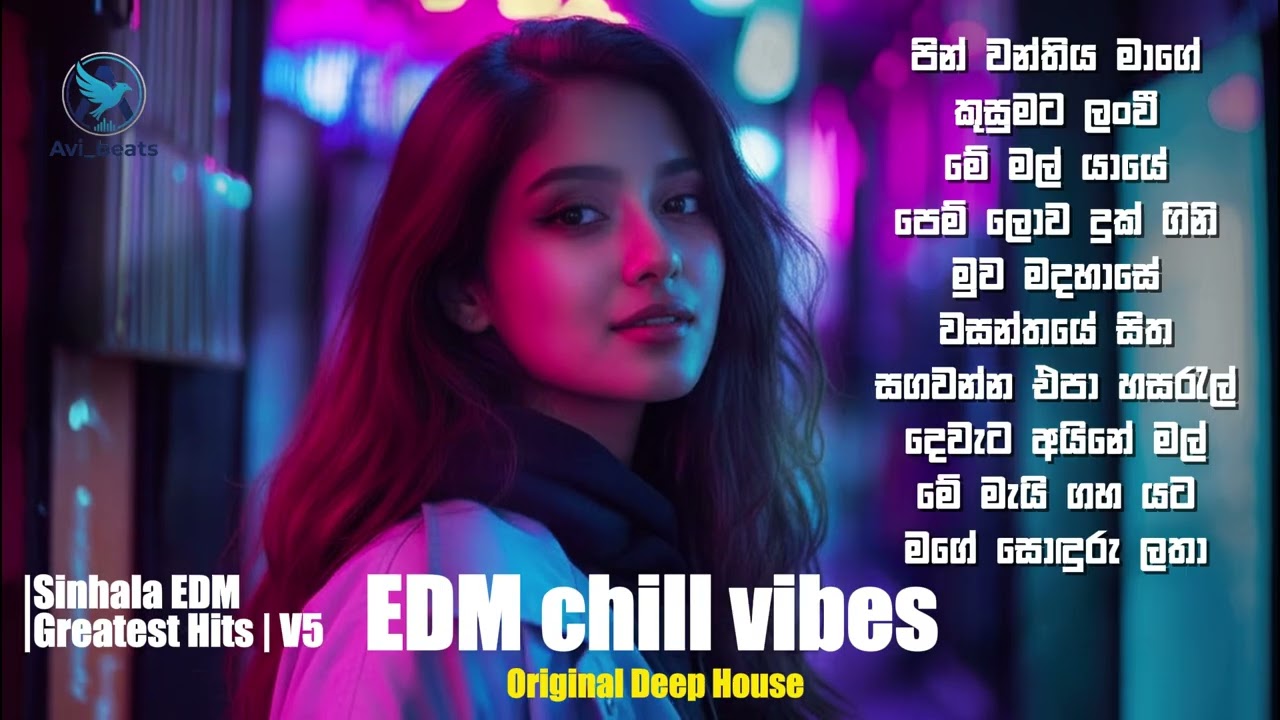 Sinhala  EDM top 10 Mixtape 5 | Avi beats