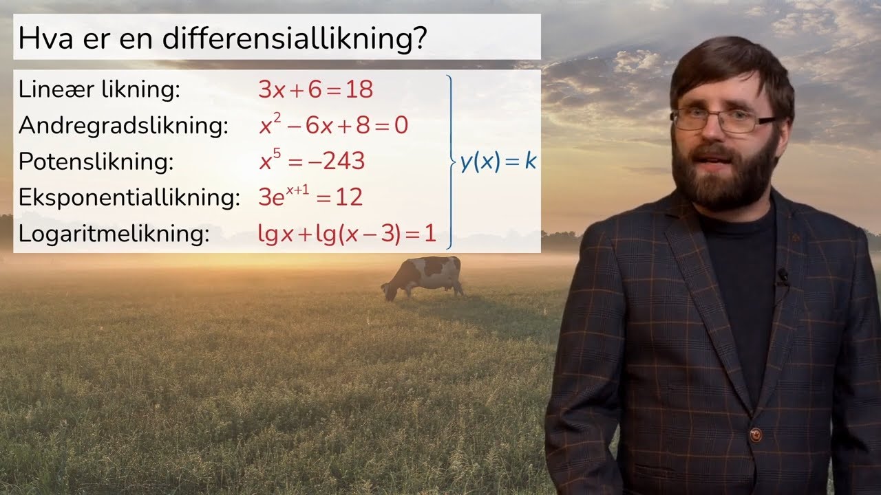 Matematikk R2: Differensiallikninger