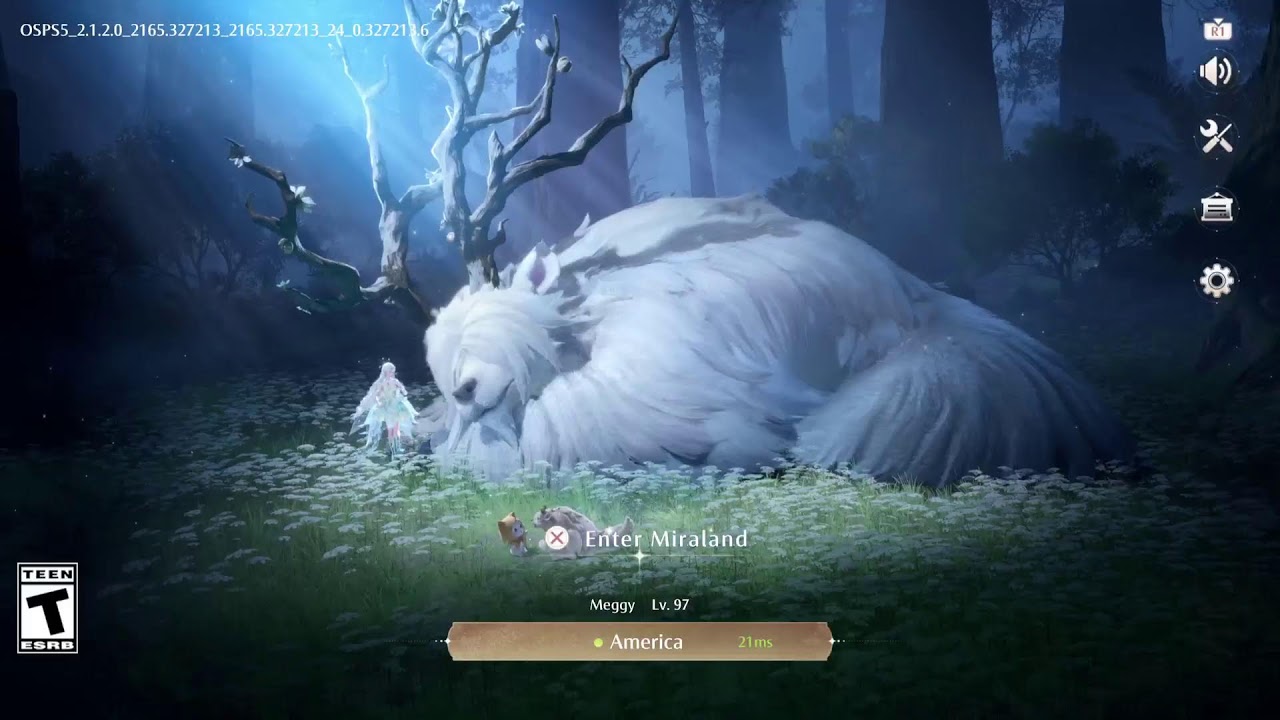 Infinity Nikki 199