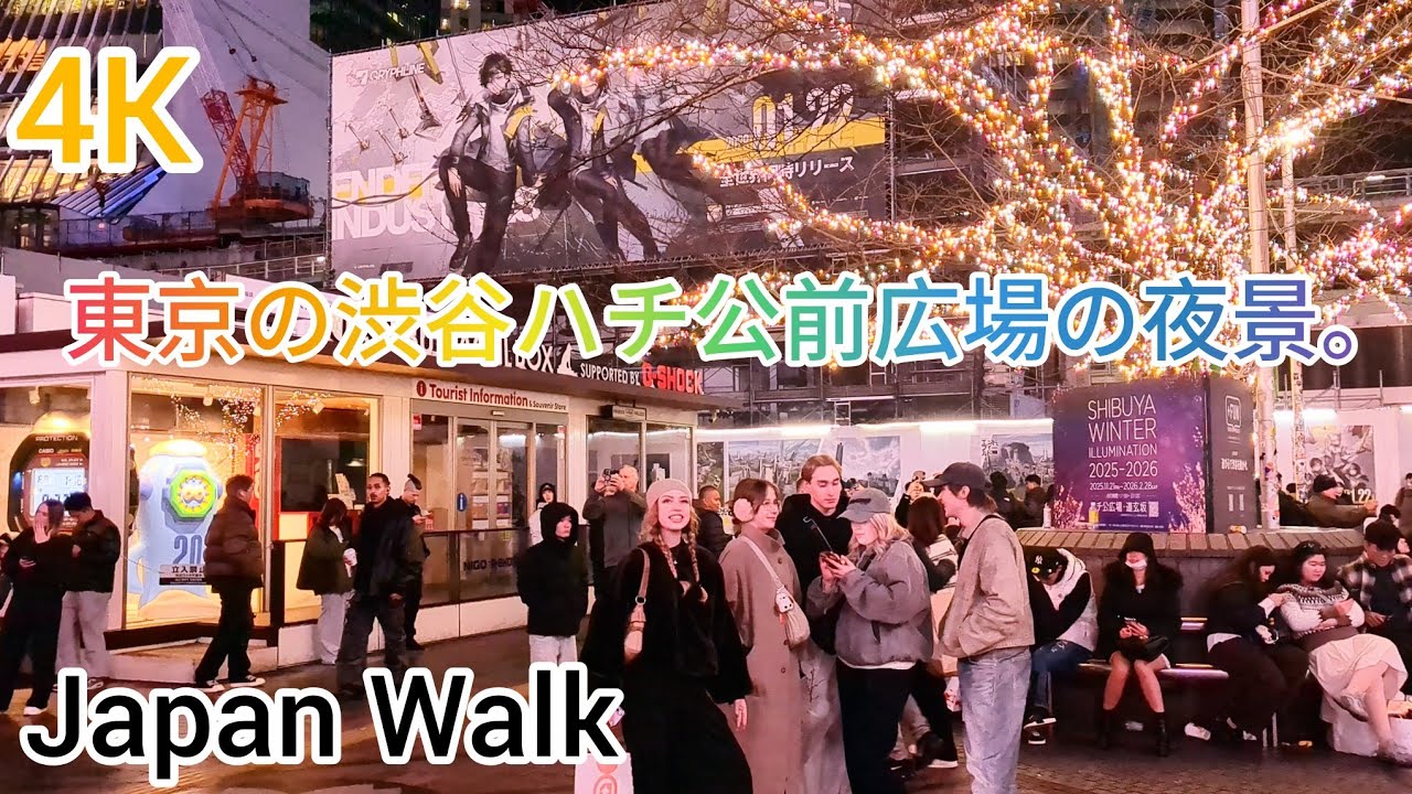 Shibuya Hachiko Square Night walking tour. Tokyo, Japan. 