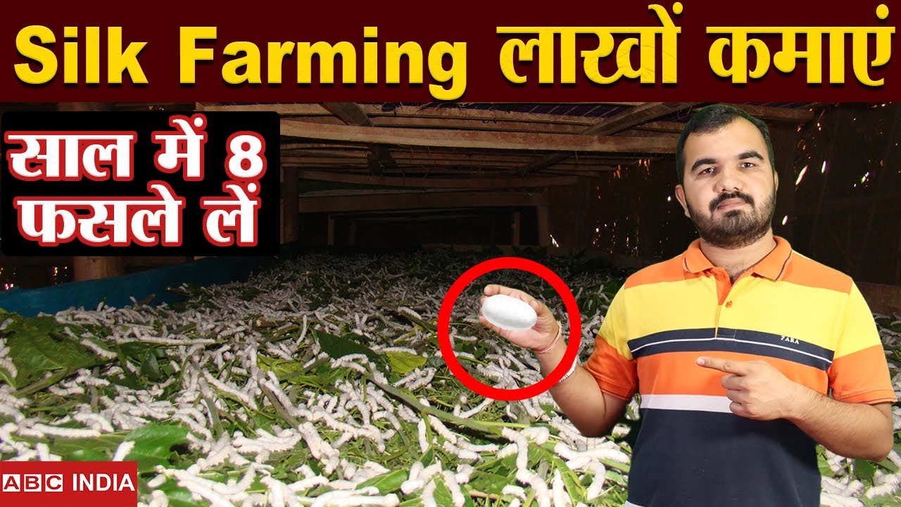 Silk Farming | साल में 8 बार फसल लें | Sericulture | Resham ki kheti | Profitable Farming | Subsidy