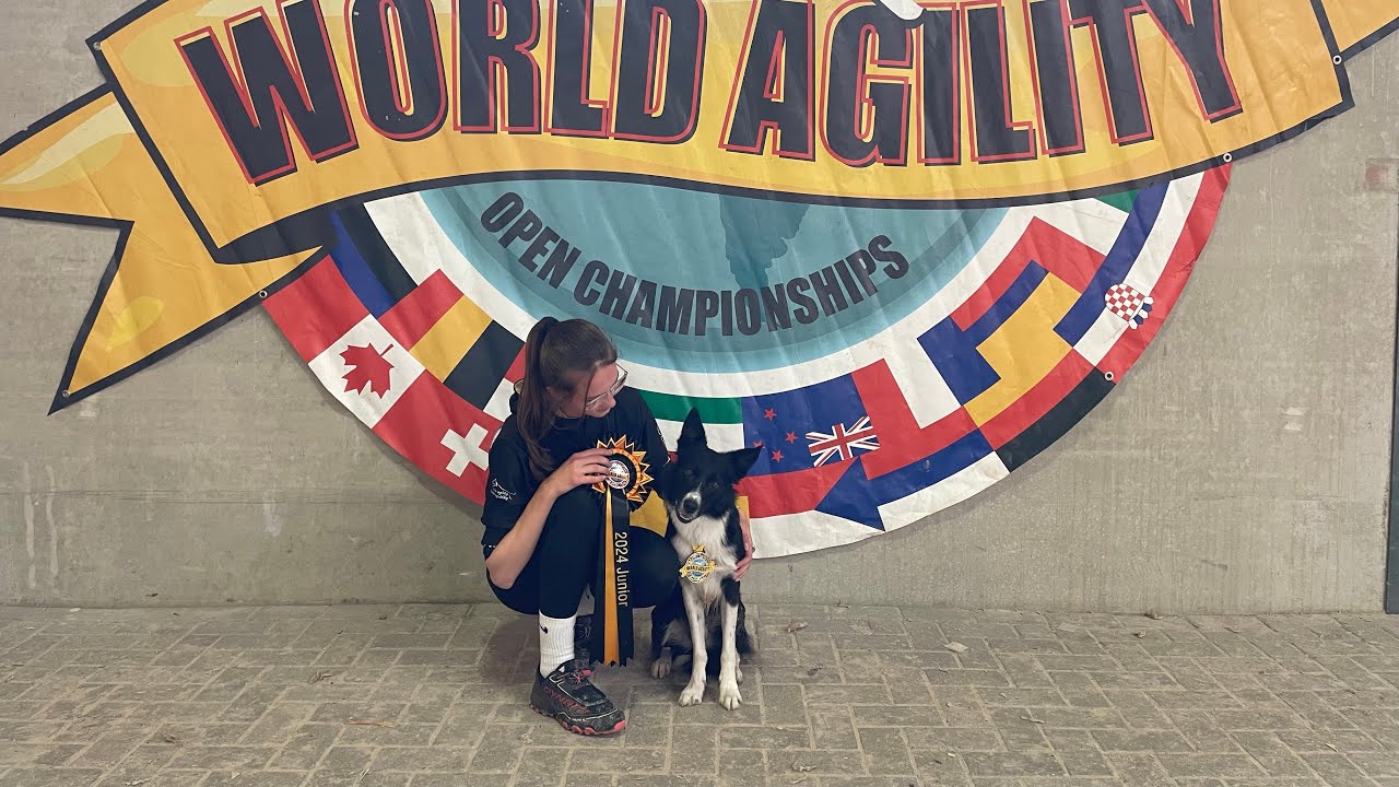 World Agility Open Championship 2024 | Dobby & Veronika Javorová