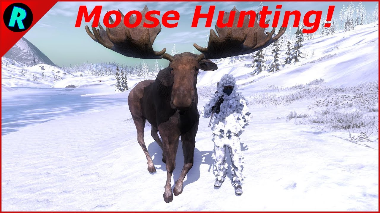 Moose Hunting! | theHunter Classic