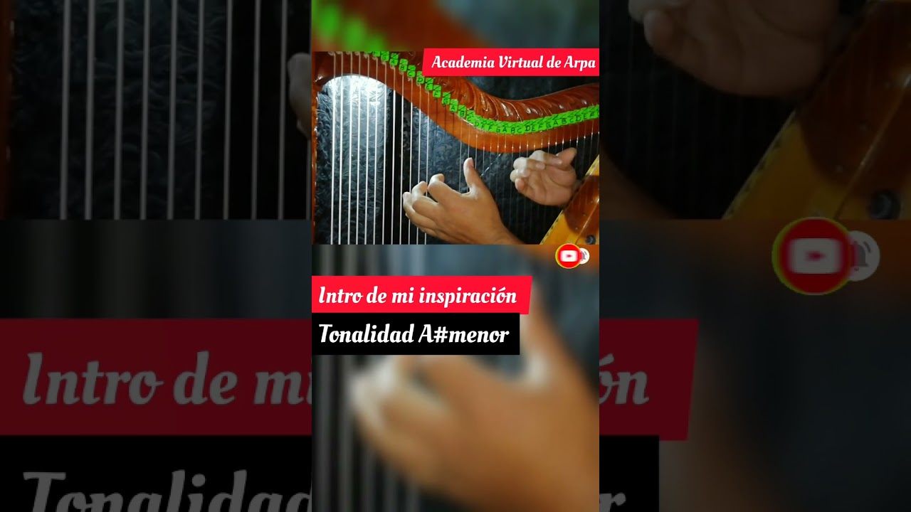 Como Tocar el Arpa [ACORDES EN EL ARPA] Reconocer Campo Am&oacute;nico IMPORTANTE👀