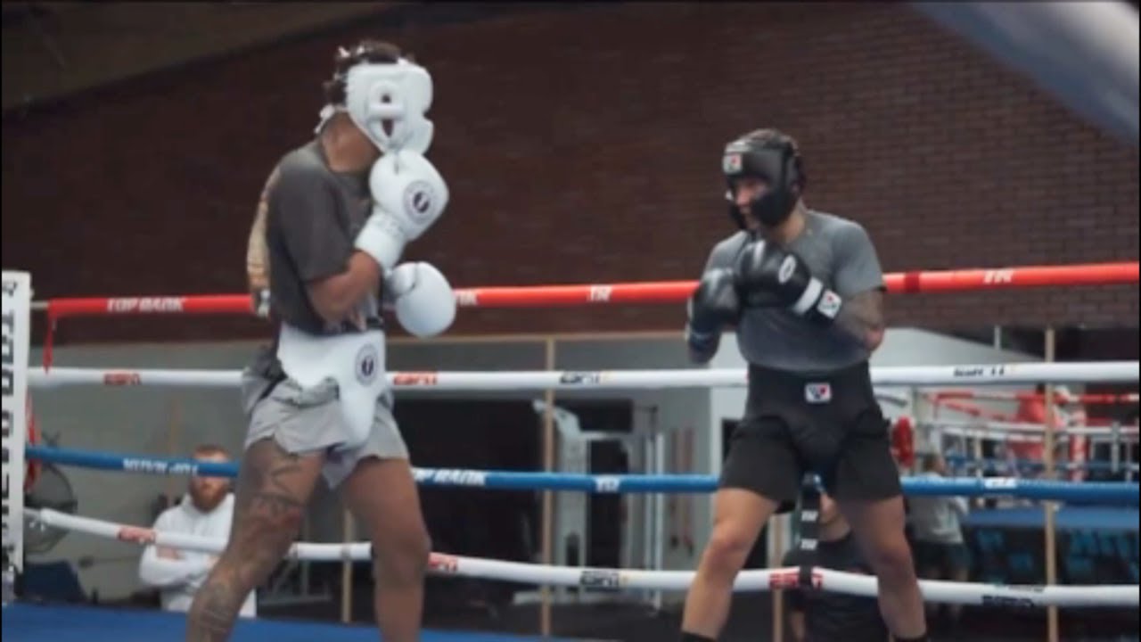 Devin Haney vs. Liam Paro Sparring Session
