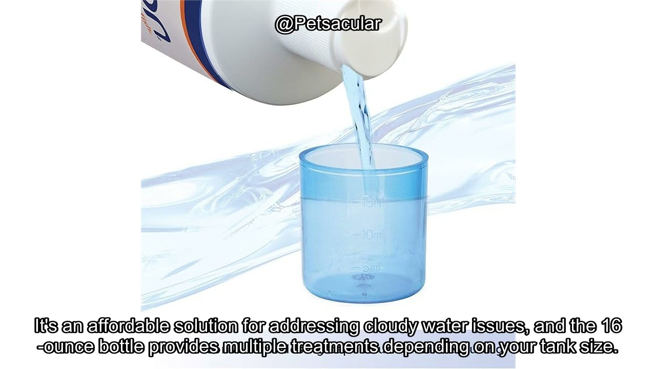 Aqueon Water Clarifier Review: Does It Really Clear Cloudy Aquarium Water?