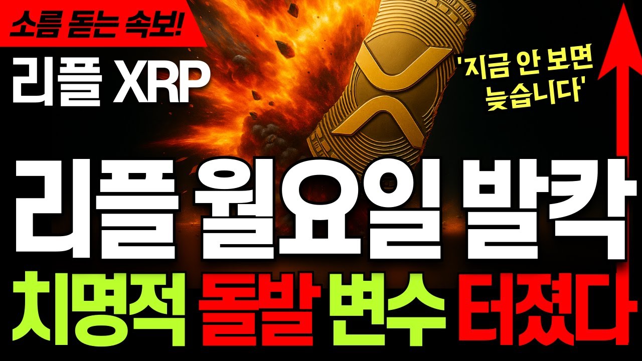 리플코인 전망 🚀 엑스알피 XRP 리플 '월요일 발칵!' ⚡치명적 돌발 변수 터졌다! 모르면 당합니다 #리플 #리플코인 #리플코인전망