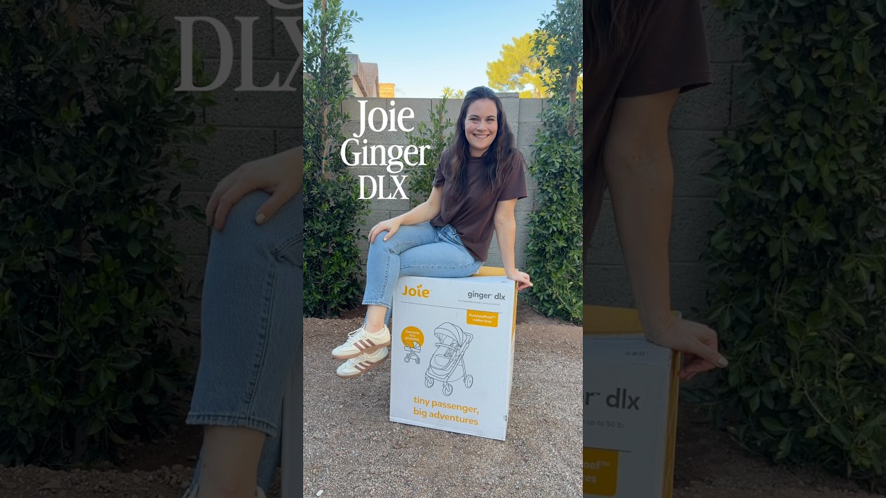 Joie Ginger DLX Stroller Review: Can this stroller really do it all? 