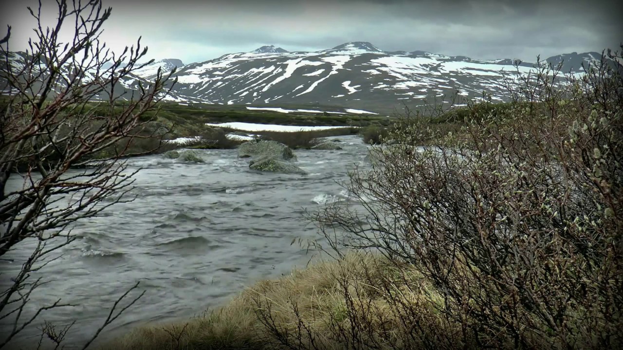 Nature Sounds: Large Mountain Stream from Highlands of Norway
