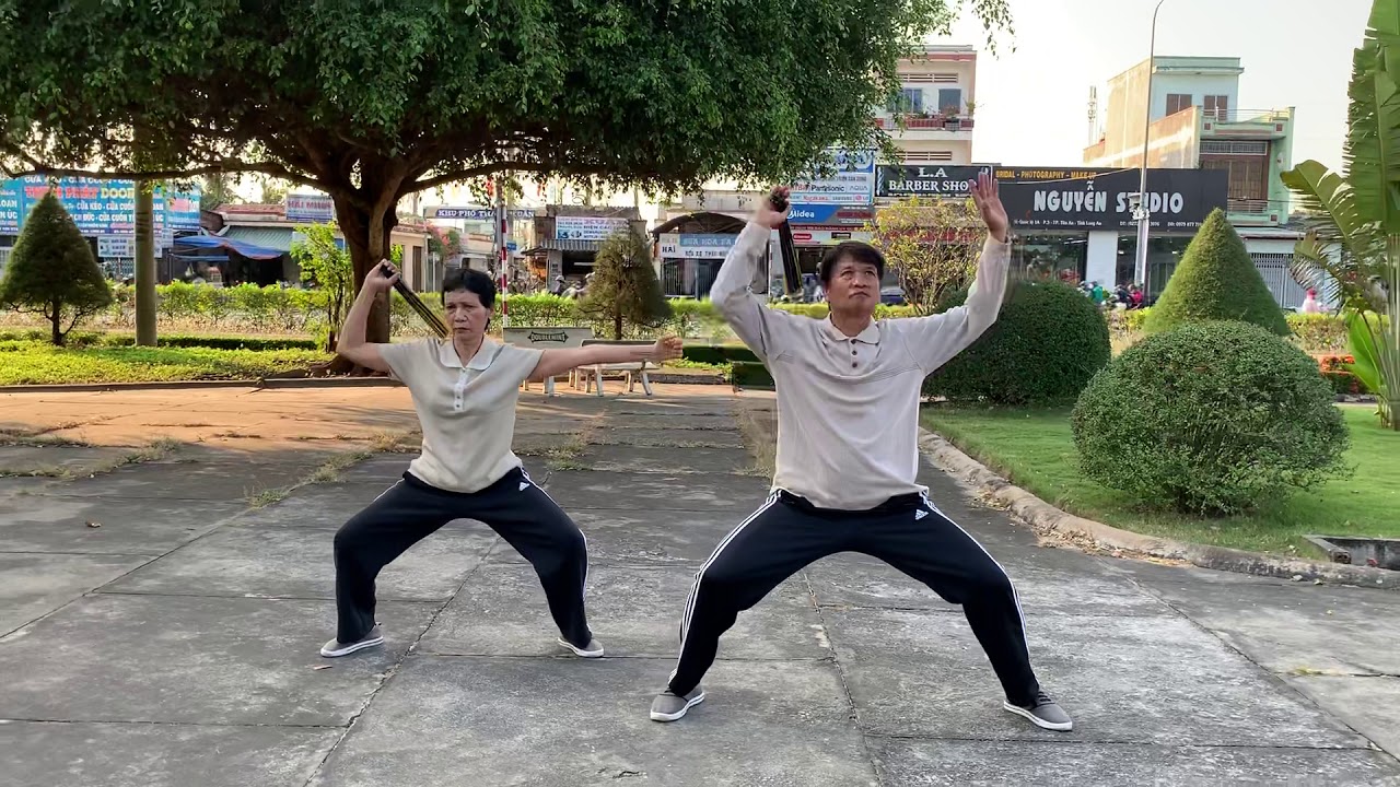 Thái cực kung fu phiến 56 thức