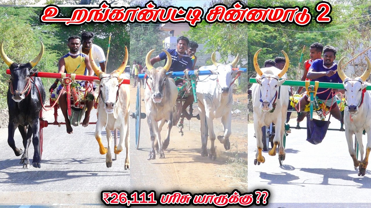 2உறங்கான்பட்டி-சின்னமாடு-பந்தயம்_12.03.2026_V_Photography
