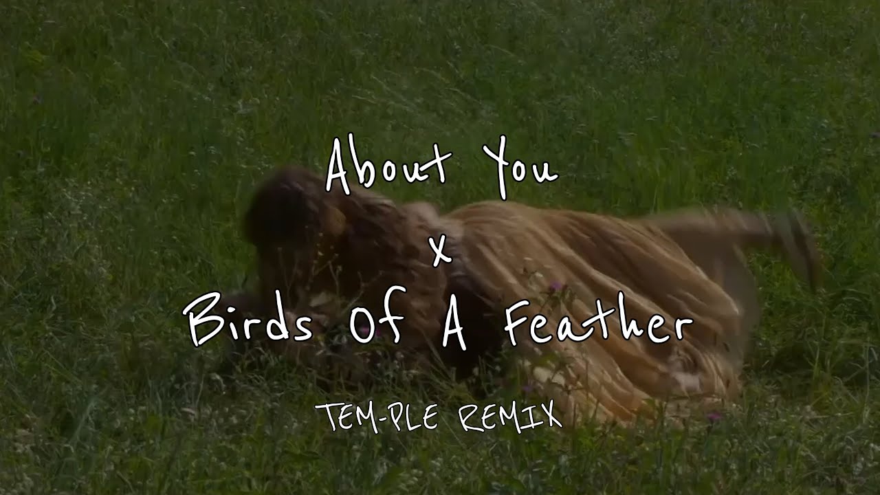 About You x Birds Of A Feather TEM-PLE REMIX