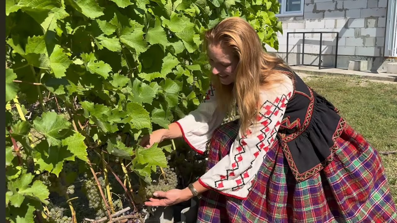 25/24 Беларусь. В гостях на винограднике Натальи Макарцовой. Гомель.Часть 3/3 технические сорта.