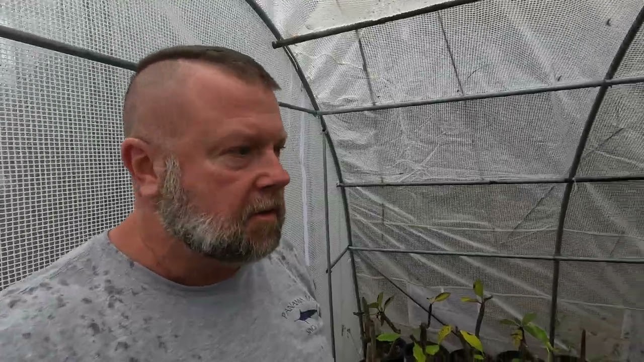 January 25, 2026 A Rainy look around the garden and plumeria greenhouse