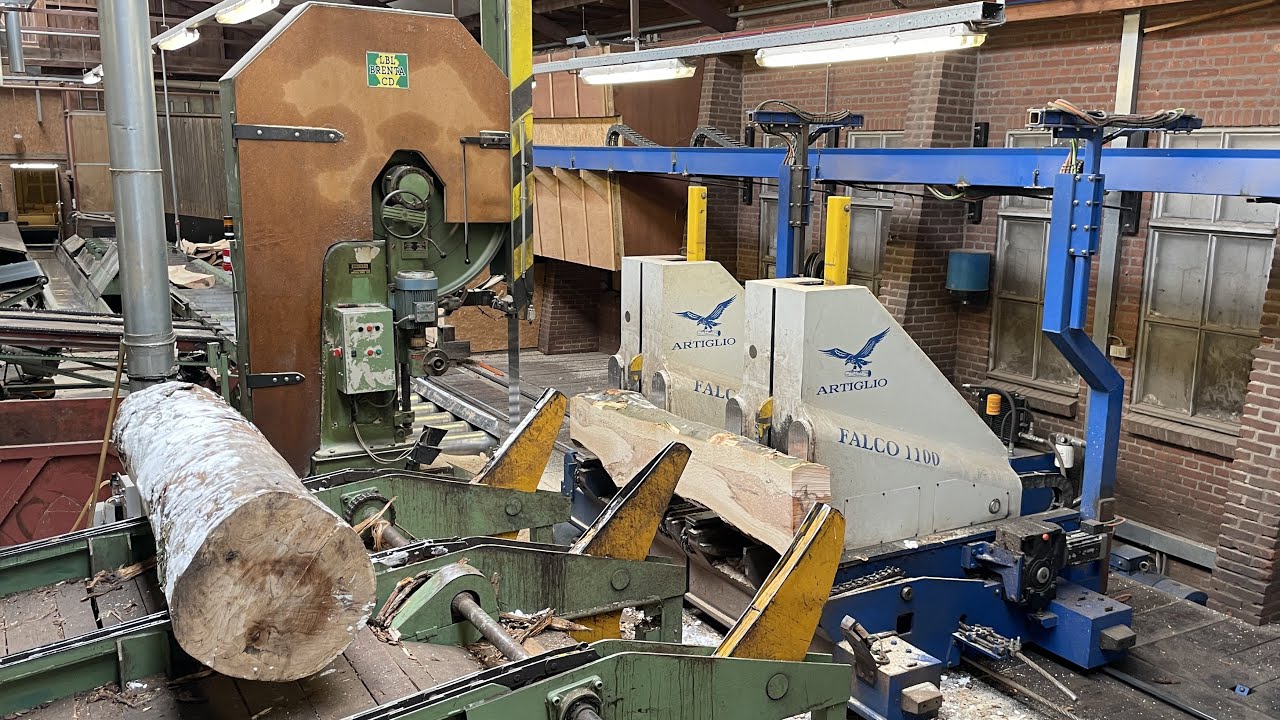 Diba Machinehandel l ARTIGLIO FALCO + BRENTA 1500 log bandsaw line
