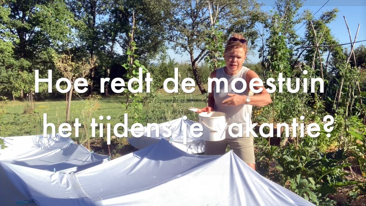 Ini's Moestuin #108   Juli -  Tips voor je moestuin tijdens je vakantie & zaden verzamelen
