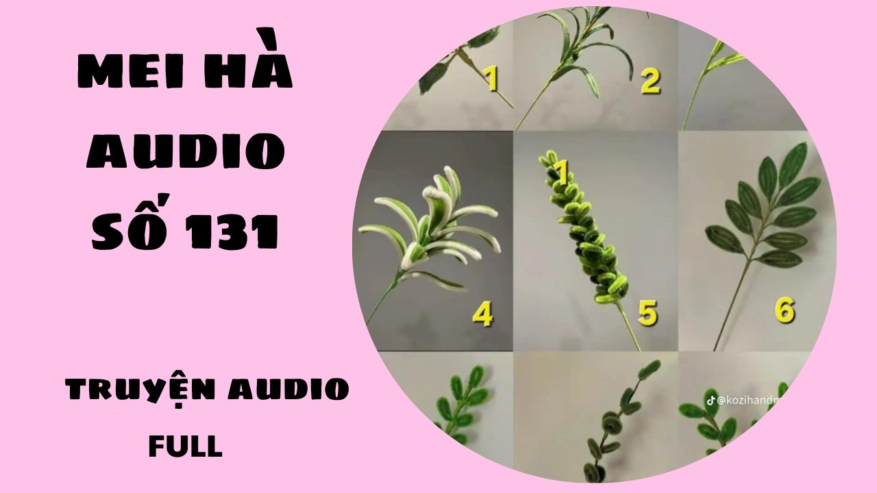 MEI HÀ AUDIO SỐ 131 -  PHẦN 3 TIẾP THEO  HOA KẼM NHUNG