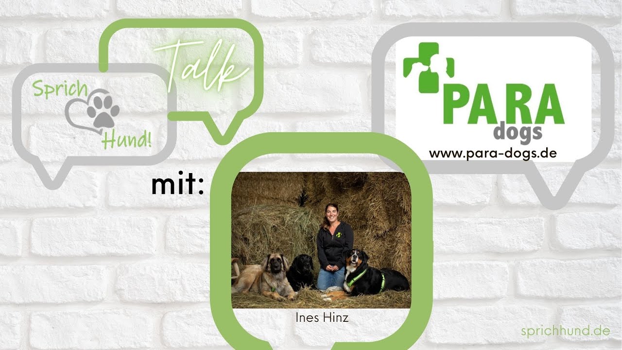 Sprich Hund-Talk - Hundespiel erkennen und beeinflussen