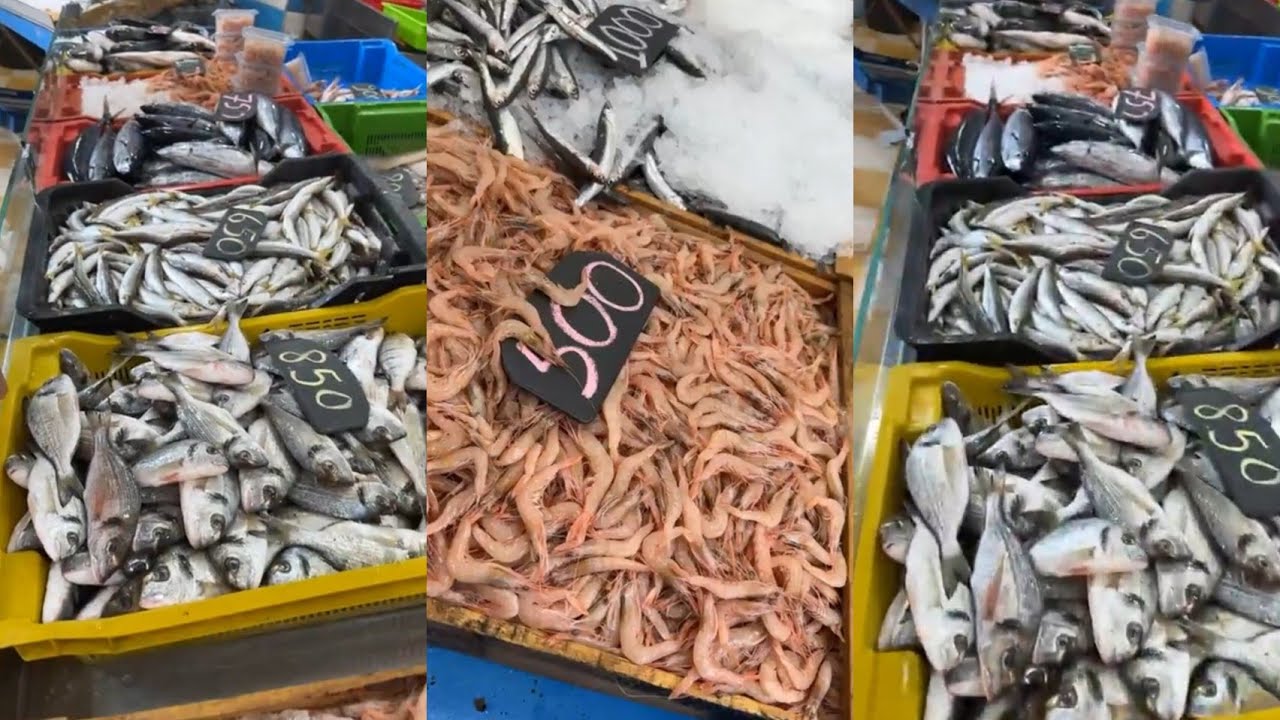 اسعار واسماء السمك  بالجزائر \سوق السمك اليوم  ميناء زموري مسمكة خوجة الجزائر 
