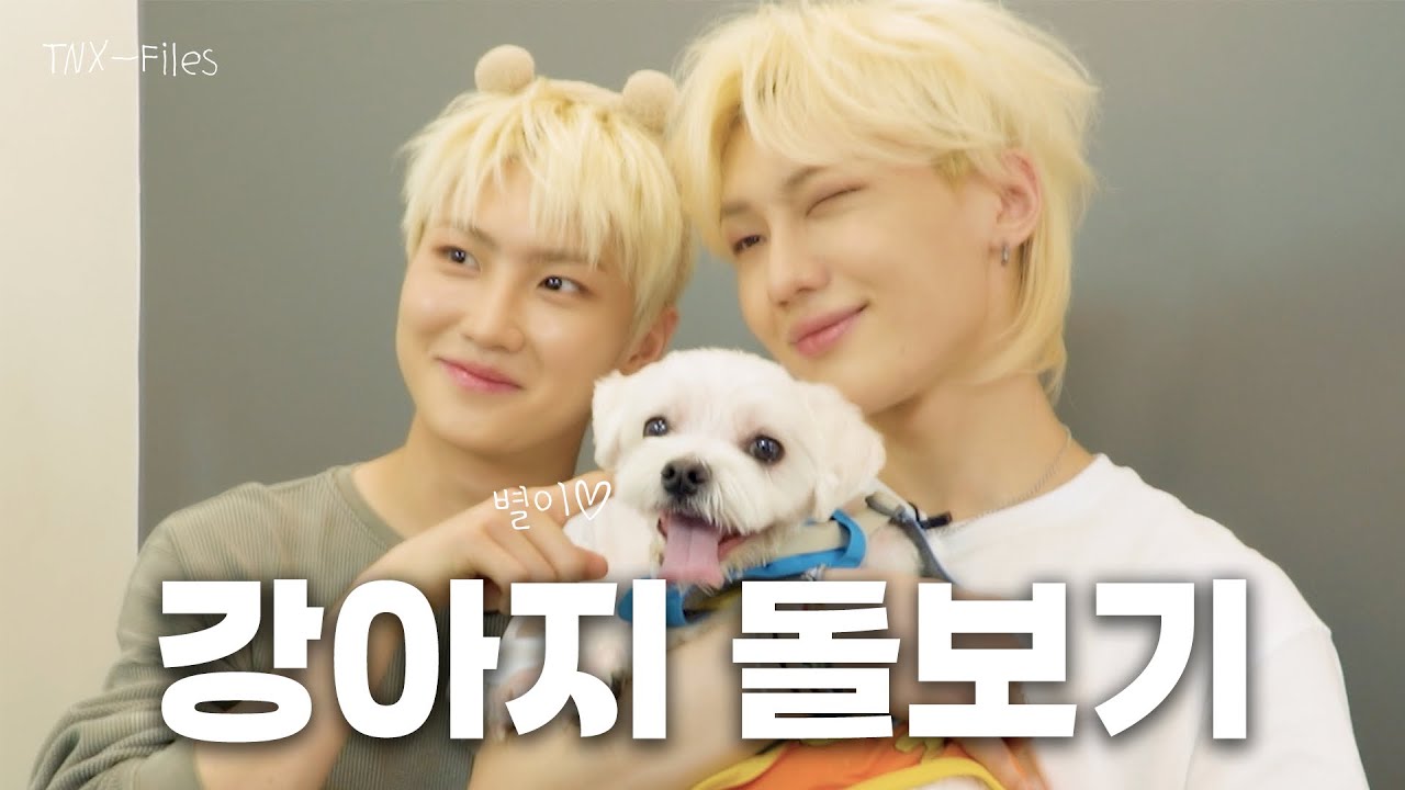 피네이션 사옥에 출몰한 강아지 🐶 별이짱, 태훈짱, 준혁짱 이 셋의 만남 너무 기쁘다 ⋆˚🐾˖° | TNX-Files EP.2