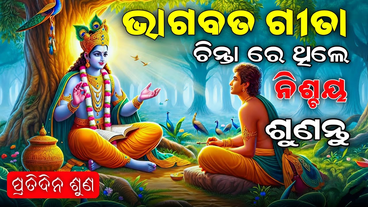 ଚିନ୍ତାରେ ଥିଲେ ଦେଖନ୍ତୁ #krishnamotivation odia | #bhagavadgita #odia | Shri Krushna Bani | Binayak TV
