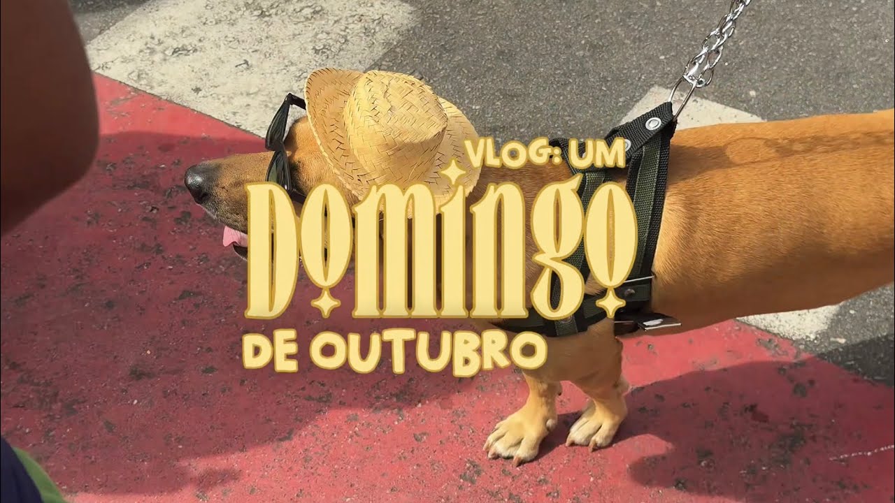 vlog um domingo de outubro! (corrida + praia) - ei laroca