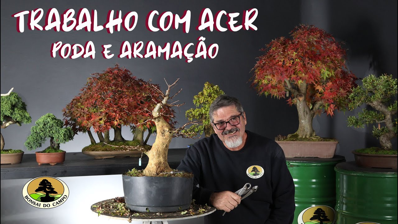 TRABALHO COM ACER. Poda e aramação.