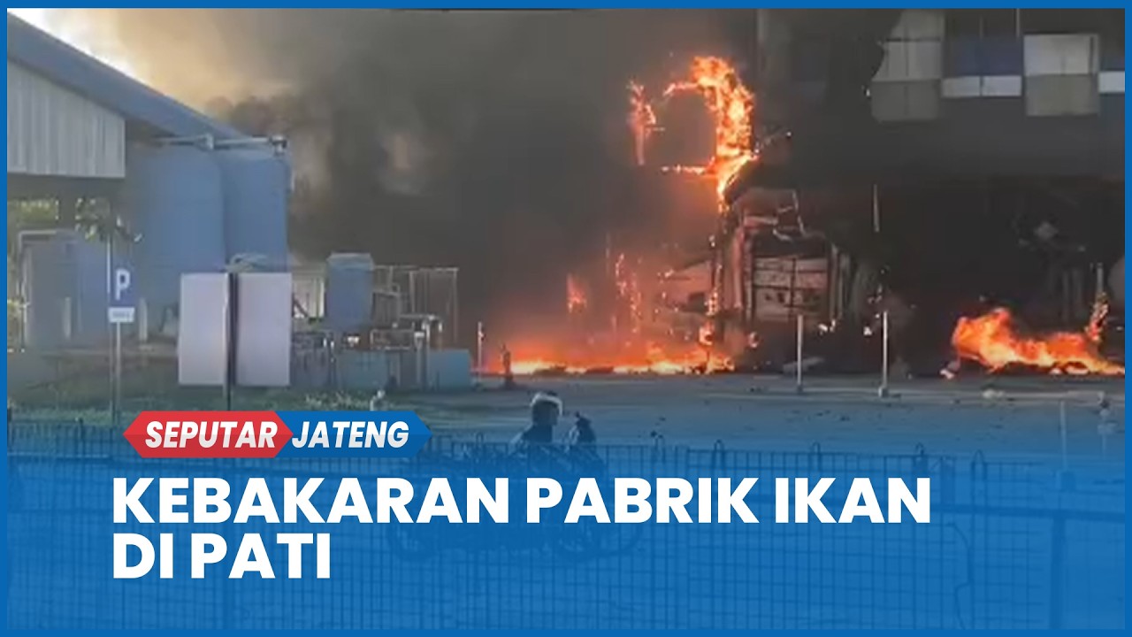 Kebakaran Hebat Pabrik Ikan di Pati, Api Muncul dari Belakang Pabrik