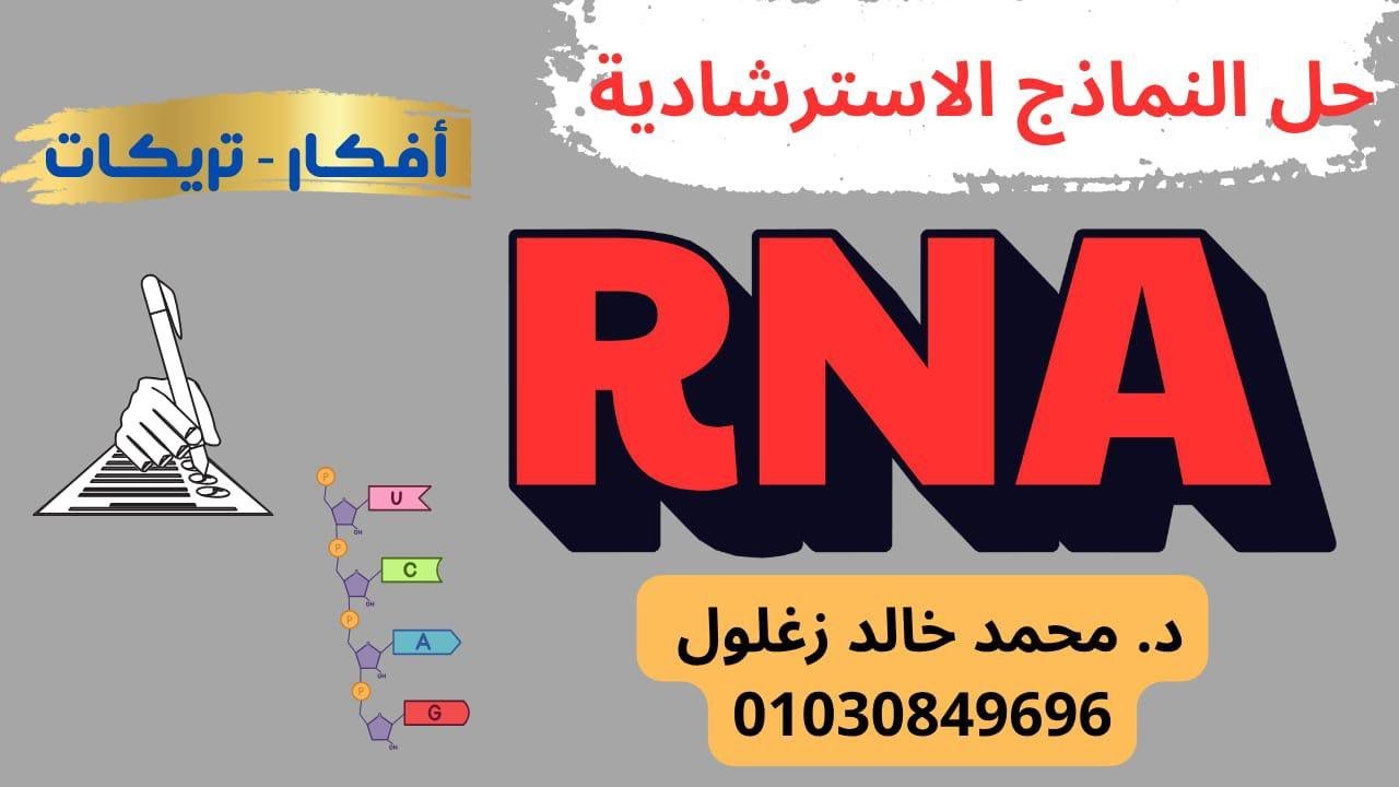 حل أسئلة الامتحانات الاسترشادية 2025 على RNA