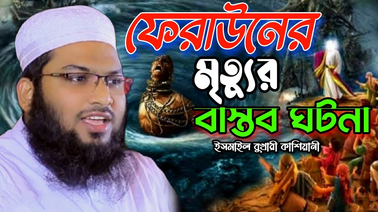 ফেরাউনের মৃত্যুর বাস্তব ঘটনা ! ইসমাইল বুখারী কাশিয়ানী ওয়াজ 2024 | Ismail Bukhari New waz 2024