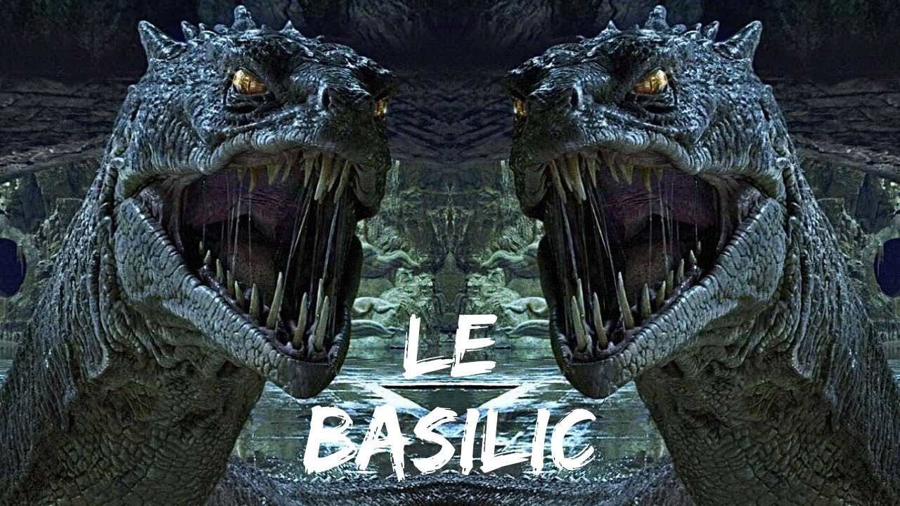 Le Basilic dans Harry Potter - &Eacute;tranges Cr&eacute;atures #09
