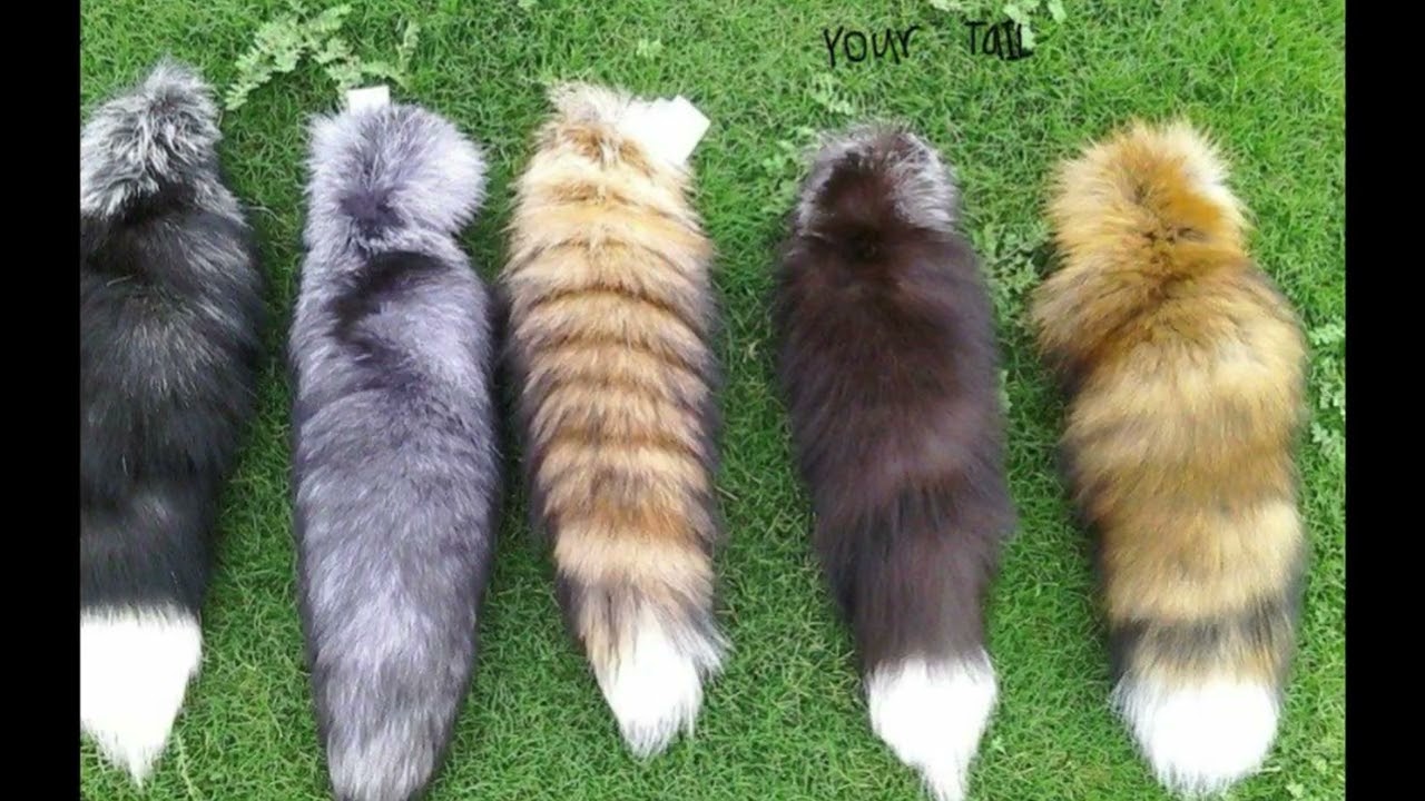 Would you be my therian friend