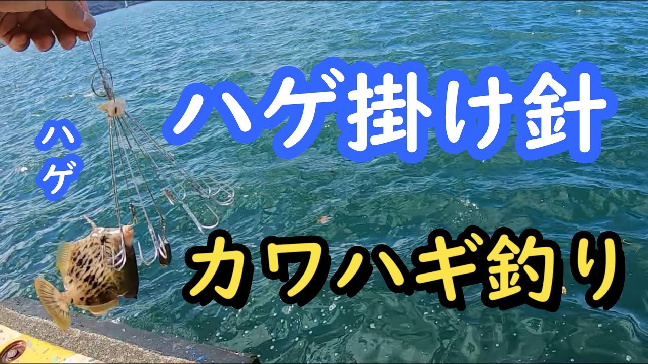 ハゲ掛け針　カワハギ釣り
