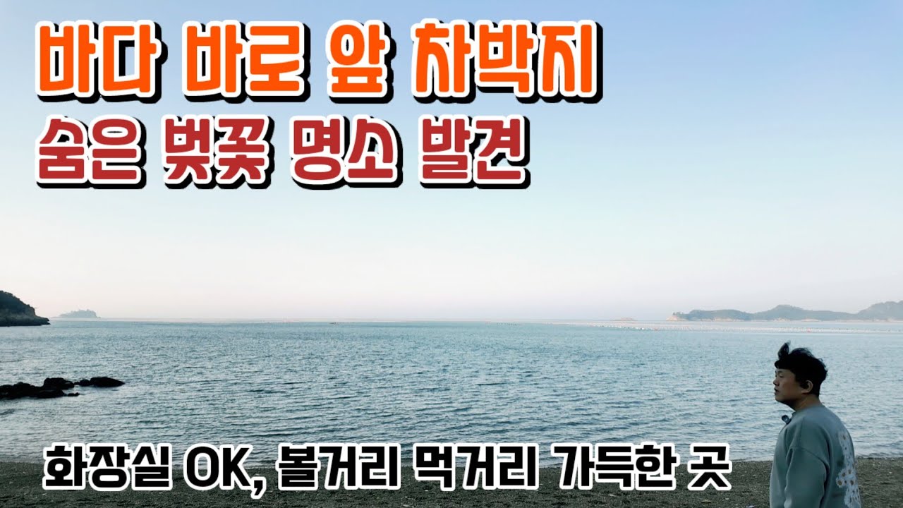 바다 바로 앞 차박지 /숨은 벚꽃 명소 발견 / 화장실 OK, 볼거리 먹거리 가득한 곳/ 추억여행 / ＃차박 #automobile #camping #캠핑 #여행 #벚꽃 #바다