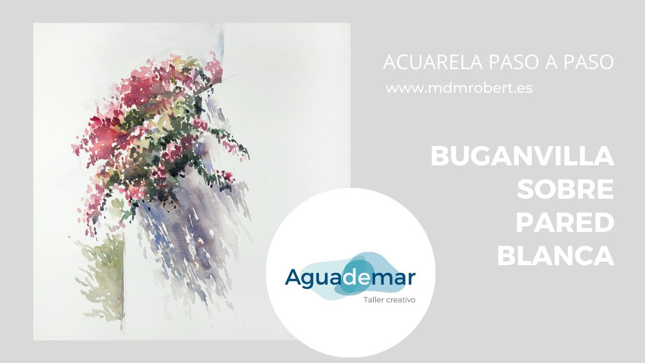 Buganvilla y su sombra sobre pared blanca . Tutorial en directo