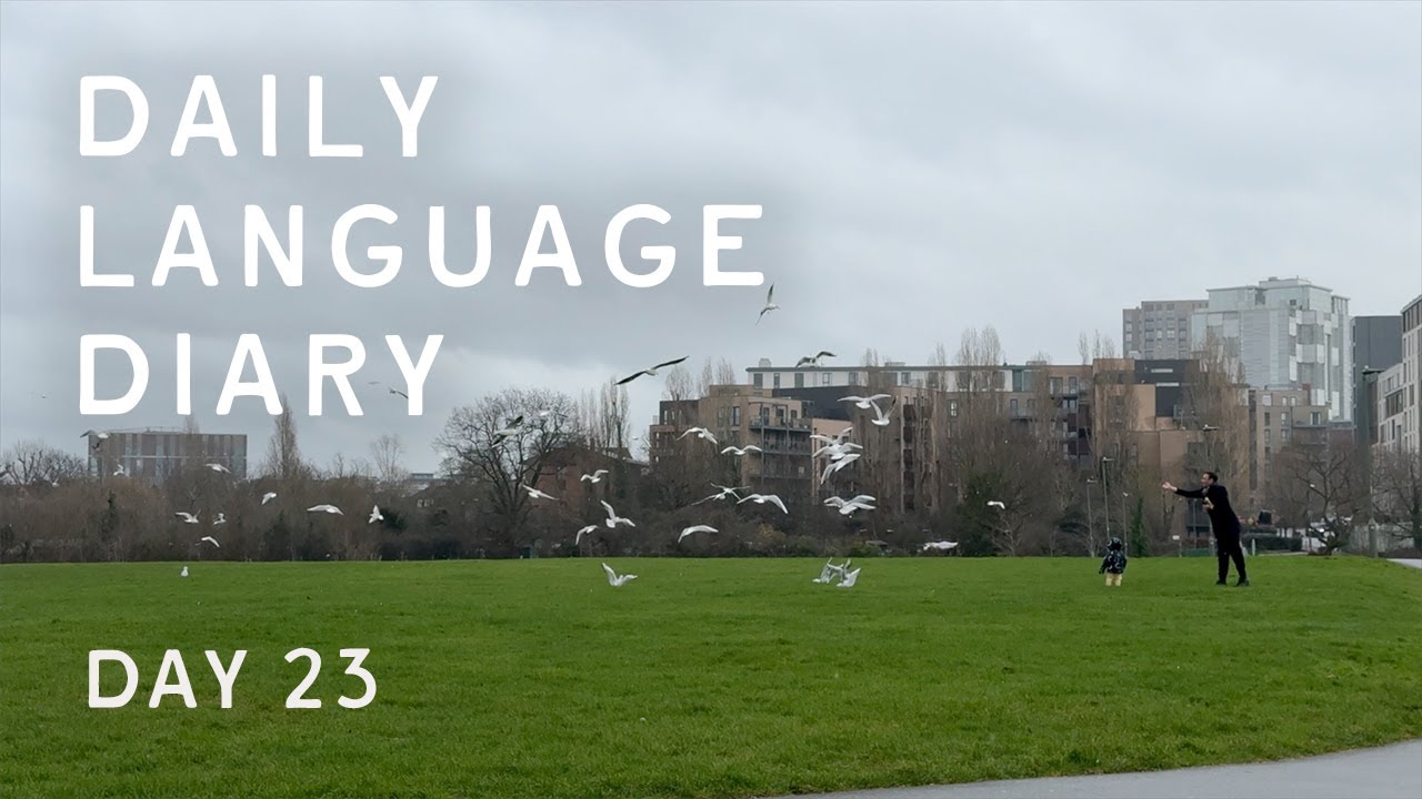 Setting Simple Language Learning Objectives - Daily Language Diary 23