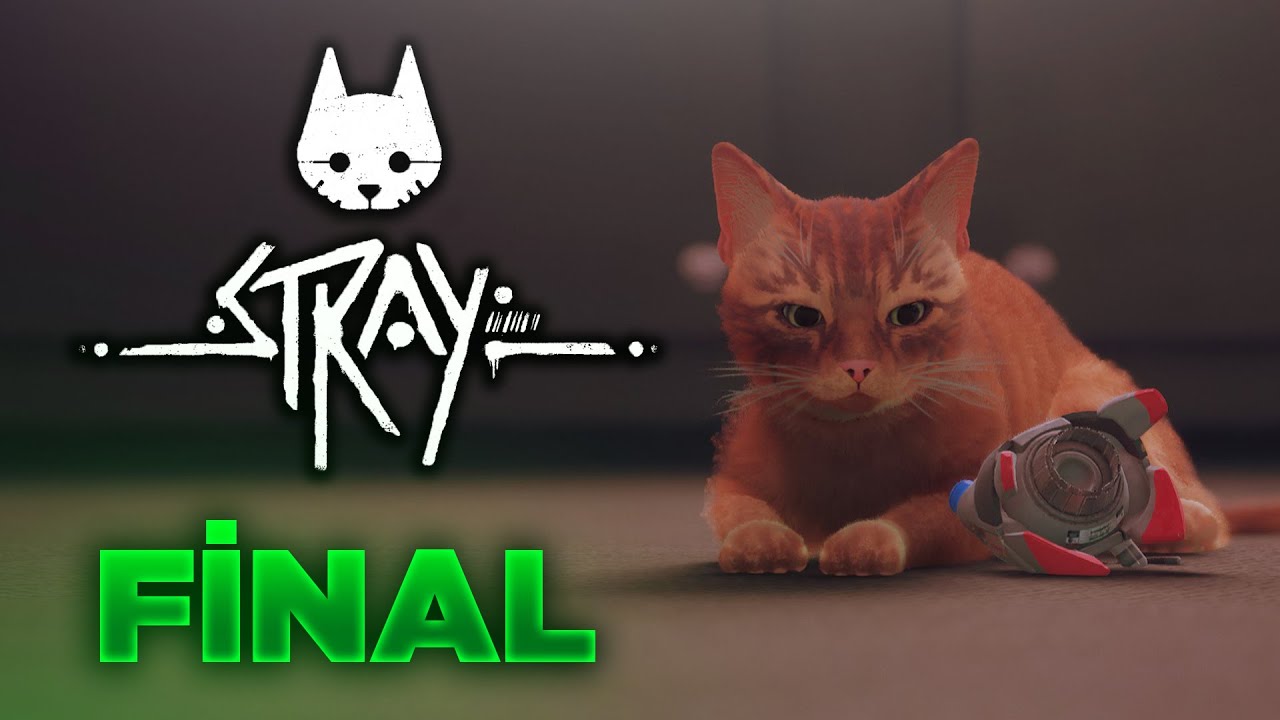 MİNNOŞA VEDA! (HÜZÜNLÜ SON) - Stray (FİNAL)