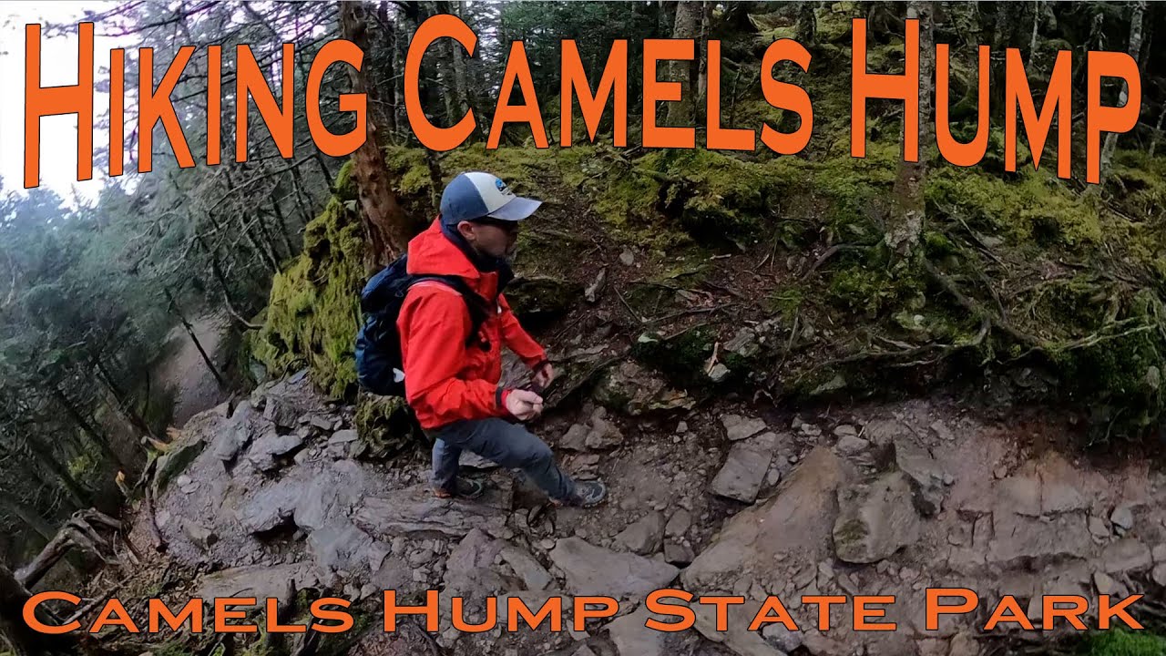 Hiking Camels Hump via the Burrows Trail and Long Trail - Camels Hump State Park