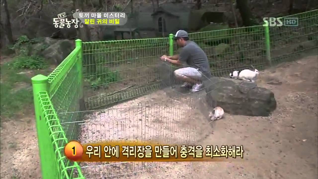 TV 동물농장 472회_07